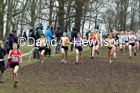 Womens under-20s, 2020 British Athletics Inter Counties Cross Country Champs., Prestwold Hall, Loughborough. Photo: David T. Hewitson/Sports for All Pics